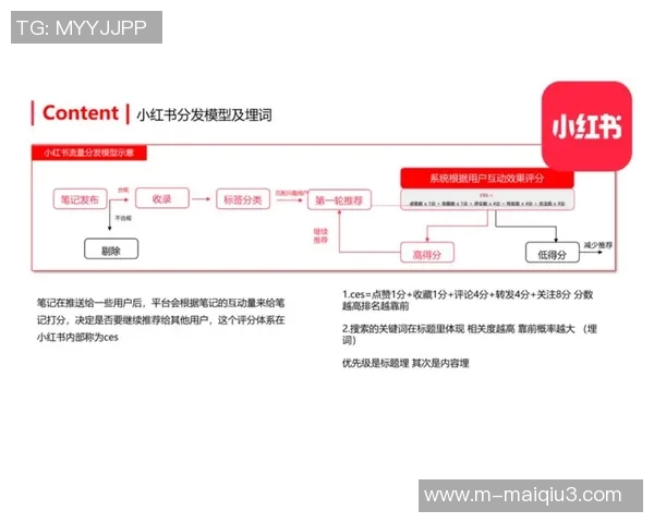 杭州攀岩队的运营策略与运动专业解读探讨 杭州攀岩队的运营策略与运动专业解读探讨