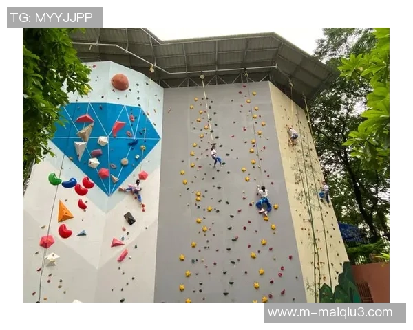 体育实时数据西安攀岩队心理素质深度对比与提升策略探讨